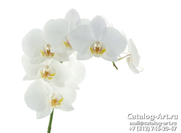 Натяжные потолки с фотопечатью - Белые орхидеи 14